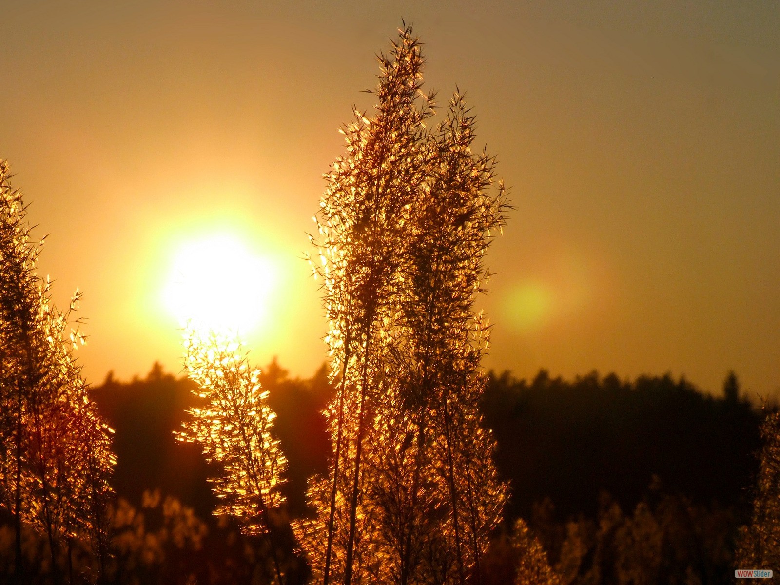 sun-361840_1920